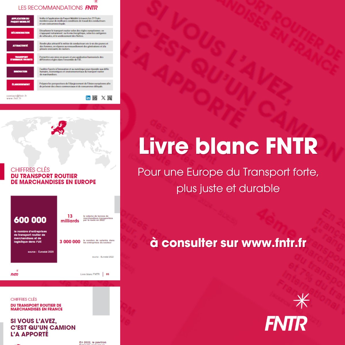 🔴La FNTR publie son Livre Blanc en vue des élections européennes

Le Livre Blanc FNTR met en avant les priorités de la branche du transport routier de marchandises. La Fédération donne six recommandations pour le secteur.

➡️ bit.ly/4bbyur8