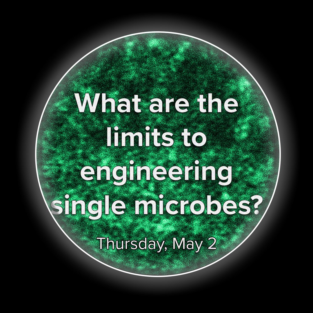 What are the limits to engineering single microbes? 

Discussing this question will be the theme of day 4 of the Ecological Dynamics of Microbial Communities: new approaches workshop on Thursday, May 2nd

#newmath @SimonsFdn @NSF