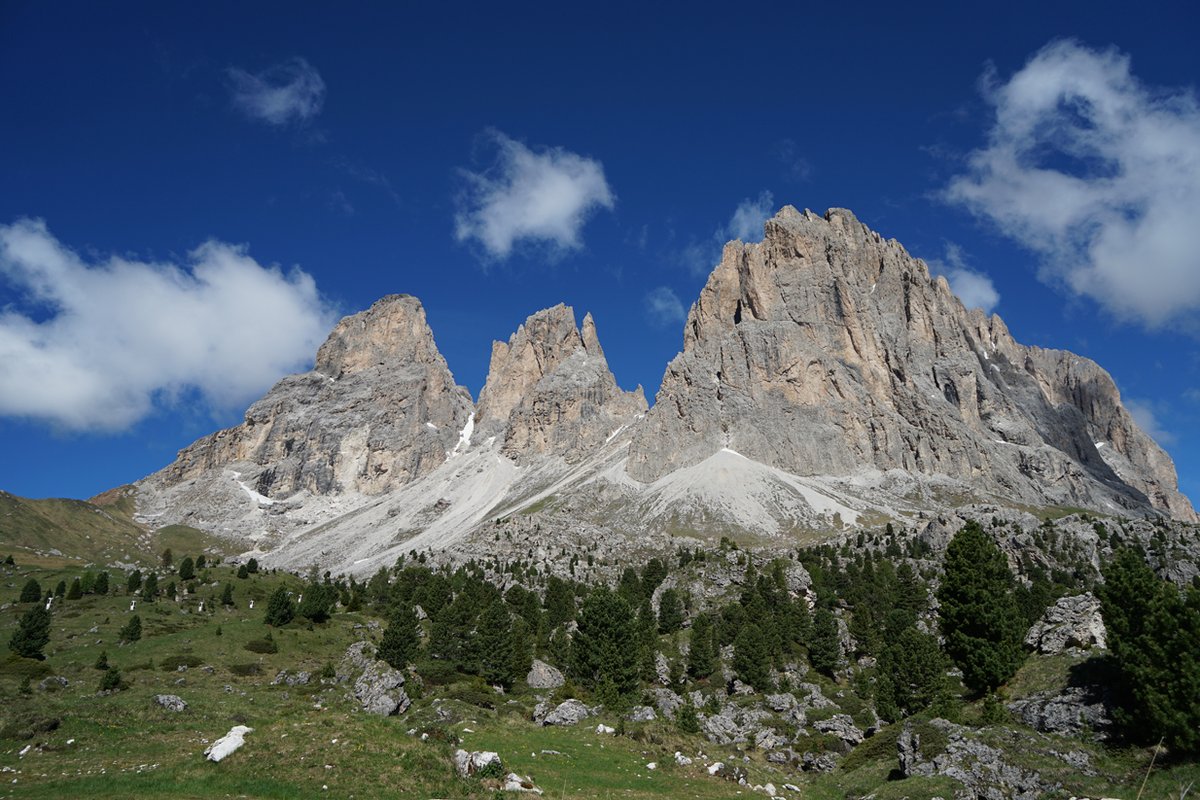 Rotari USA tweet media