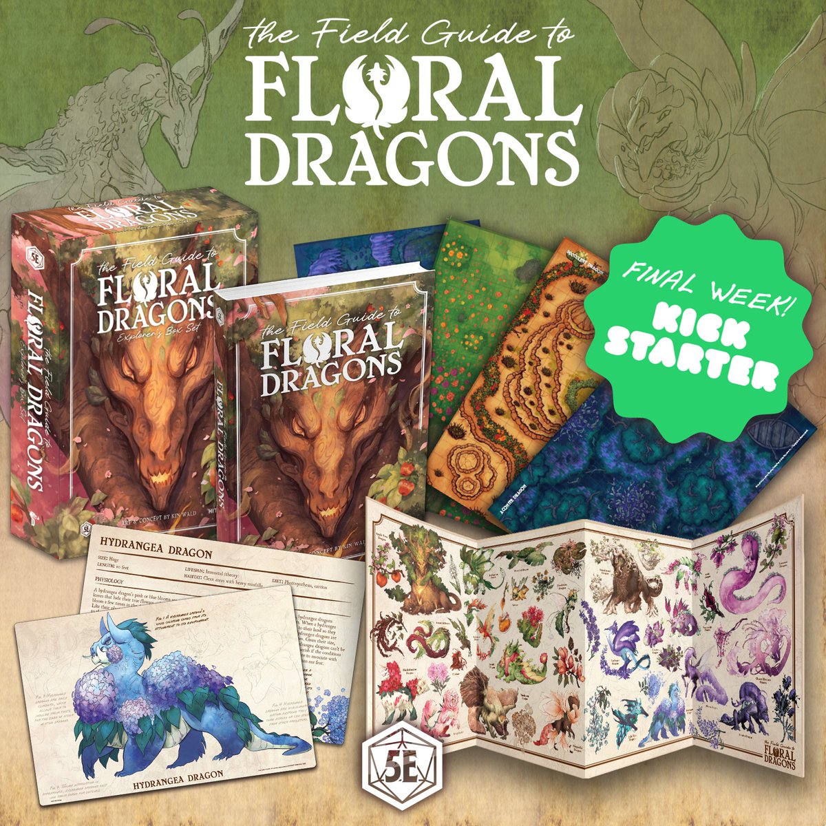 HitPointPress's tweet photo. It's the FINAL WEEK - time for our FINAL stretch goal! 👀

At $1 million, we'll create a FLORAL DRAGONBORN race for 5e! 💮🐲

Let's bring the floral dragonborn to life in full flower! 🌺🌻🌷

Pledge NOW!
https://t.co/CobGKkRAv0

Concept: @kintheartist https://t.co/uuq0qPXGjx