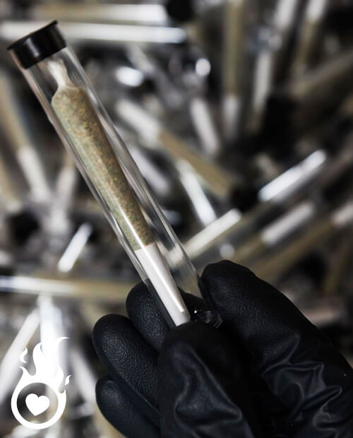 Rolling? That's so last year! 😂 Meet THCJD Pre-Rolls: the lazy connoisseur's dream. 

These babies are legal &amp; potent. Each puff dissolves stress, sparks creativity, and elevates your spirit, thanks to 35% THCJD 💪

Discover bliss!
🌐heartjacking.com/en/294-THC-JD

#UnlockEuphoria #HQ