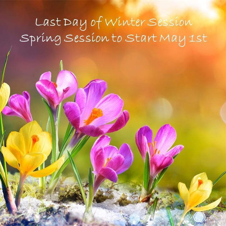 Today is the last day of Winter Session. Spring Session starts May 1st! Office hours May 1st and 2nd are 9:30am - 6:30pm. @langleyschools @sd35careered @sd35aviation #mysd35community #think35 #springsession