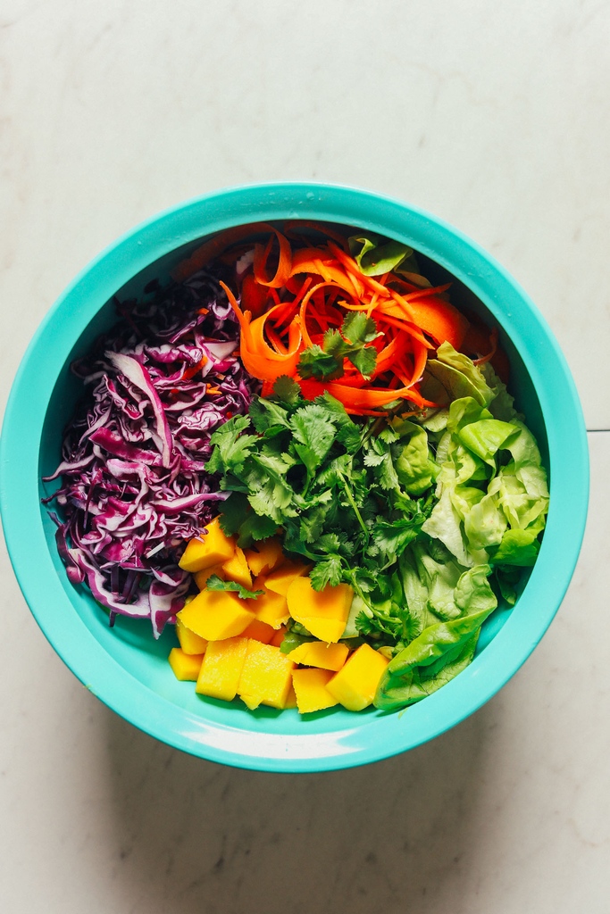 Love MANGOES? 🥭 Try our Vibrant Mango Salad with Peanut Dressing! 🌈🥗🥜 This Thai-inspired salad is quick & easy and works as both a side and an entrée (paired with your protein of choice – we recommend peanut tempeh). Tap the link for the recipe: l8r.it/x6RP