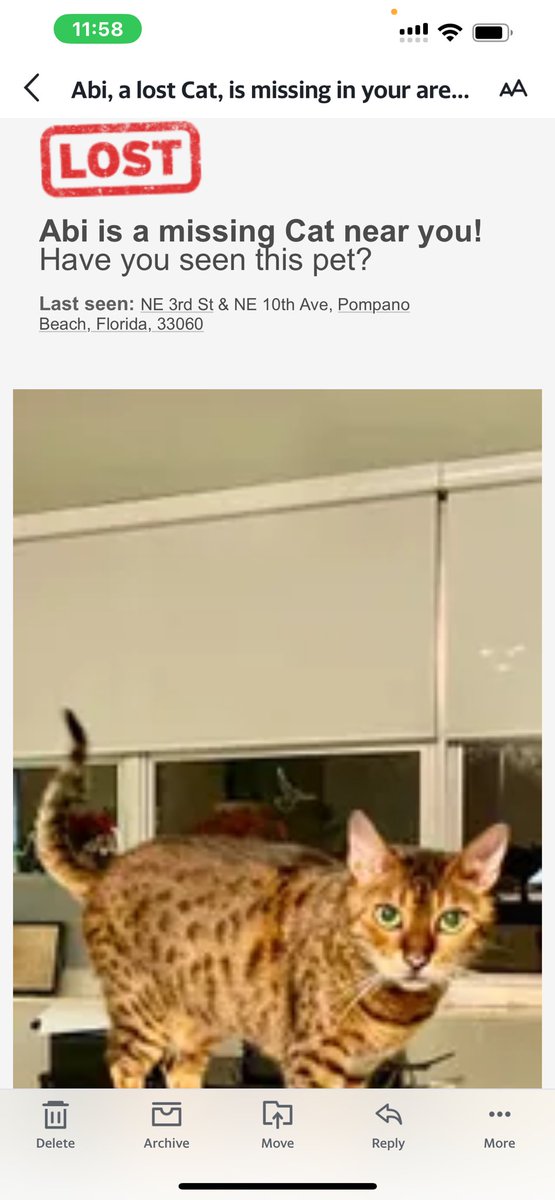 ￼
#URGENT #Lostpet #lostcat #LOST Abi is a missing #Cat near you!
Have you seen this #pet?
Last seen: NE 3rd St & NE 10th Ave, #PompanoBeach, #Florida, 33060