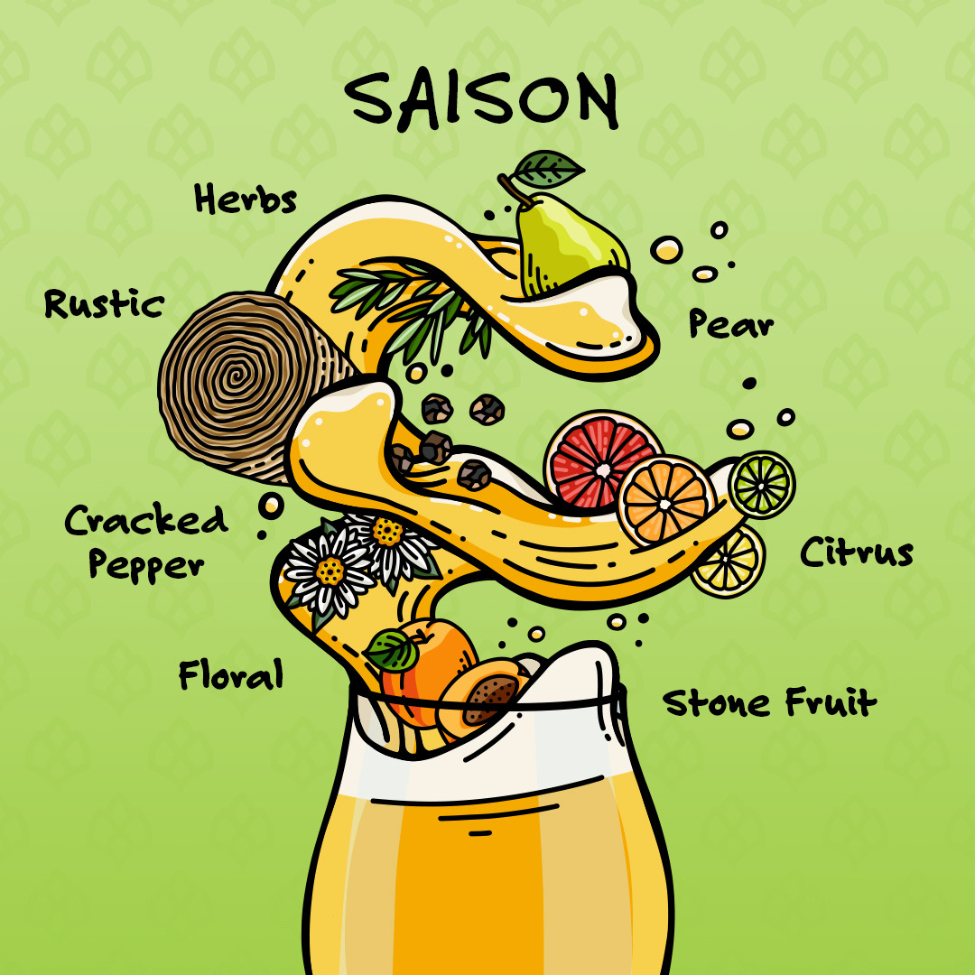 French for season, saisons are characterized by their high carbonation, soft body, and rustic esters. The yeast-centric traditional Belgian saison shares these traits and can also be characterized by notes of citrus, stone fruit, pepper, pear, herbs, and a subtle earthiness.