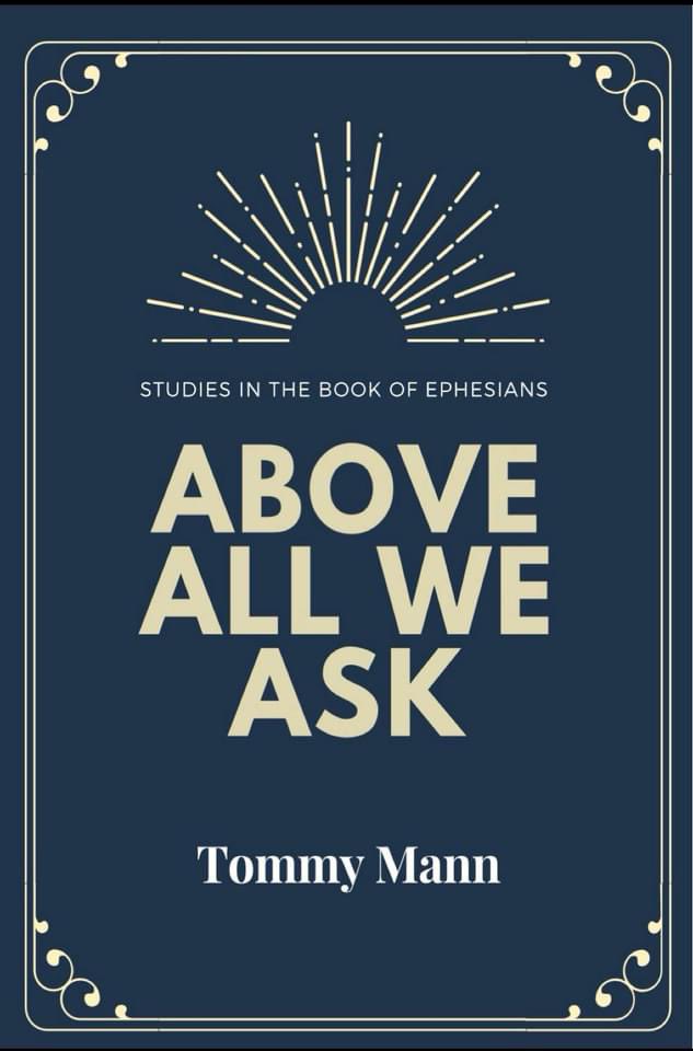 TommyMann tweet media