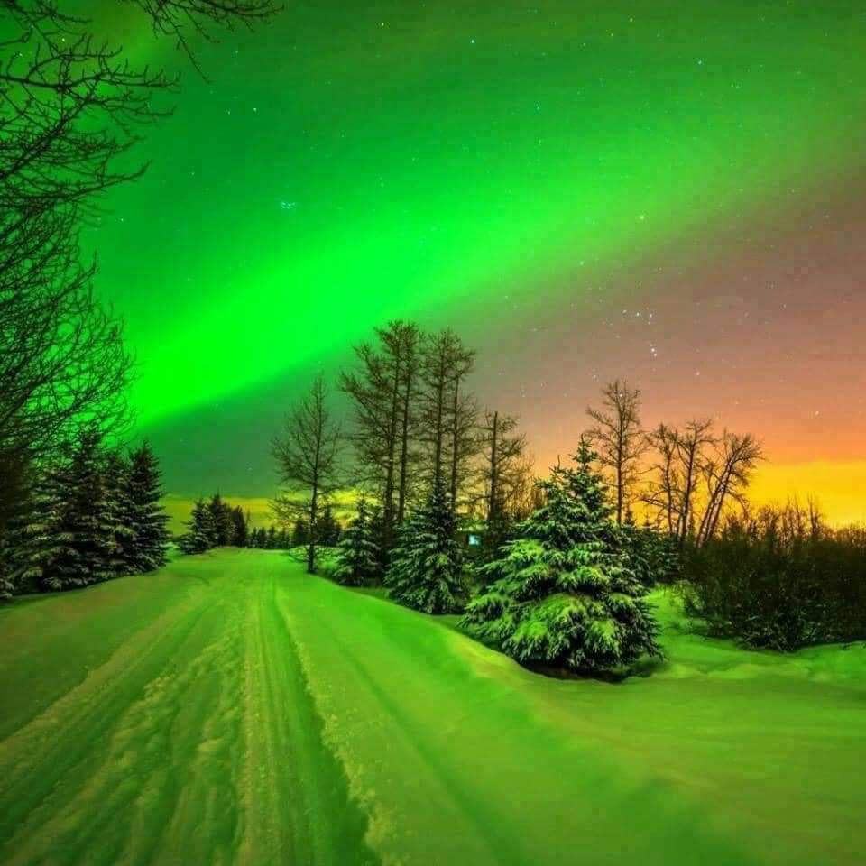 Aurora Borealis, Norway 🇳🇴