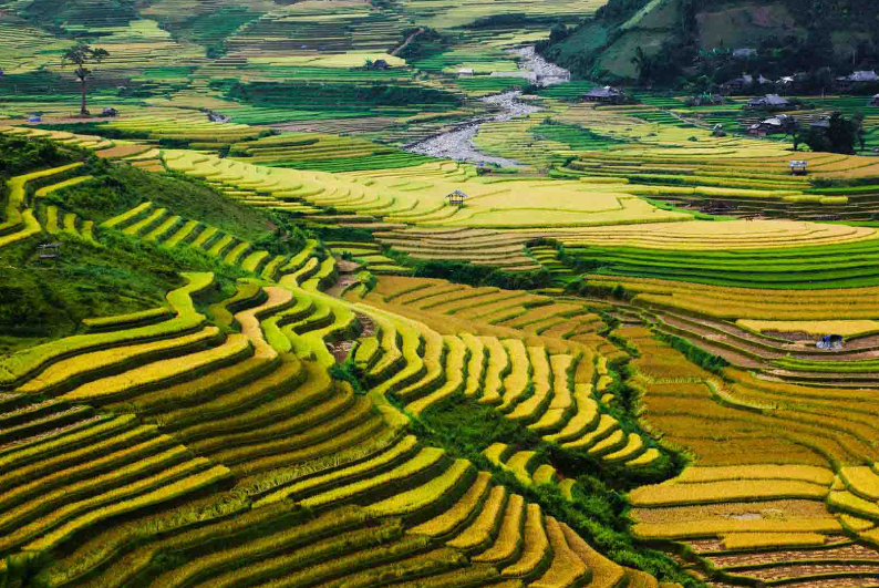 NATURE AMAZING 🌎 tweet media