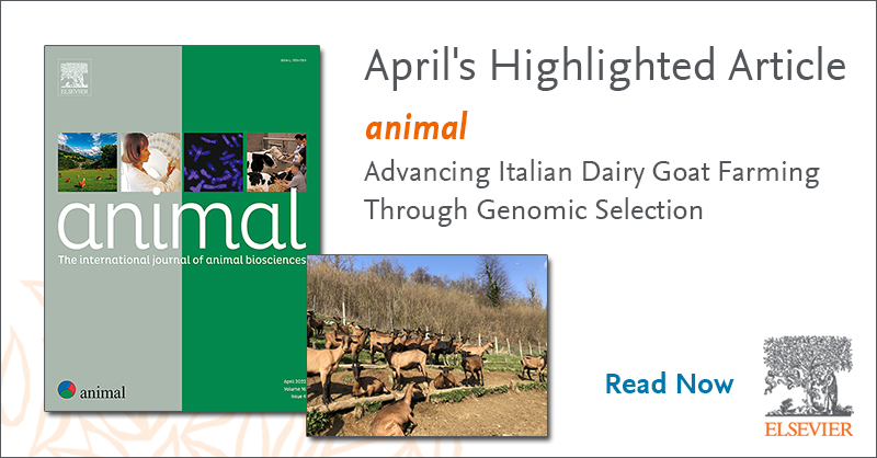 April's Highlighted Article from @journal_animal: 🐐 Advancing Italian Dairy Goat Farming Through Genomic Selection 🐐 Read online now 👉 spkl.io/60134FxxZ