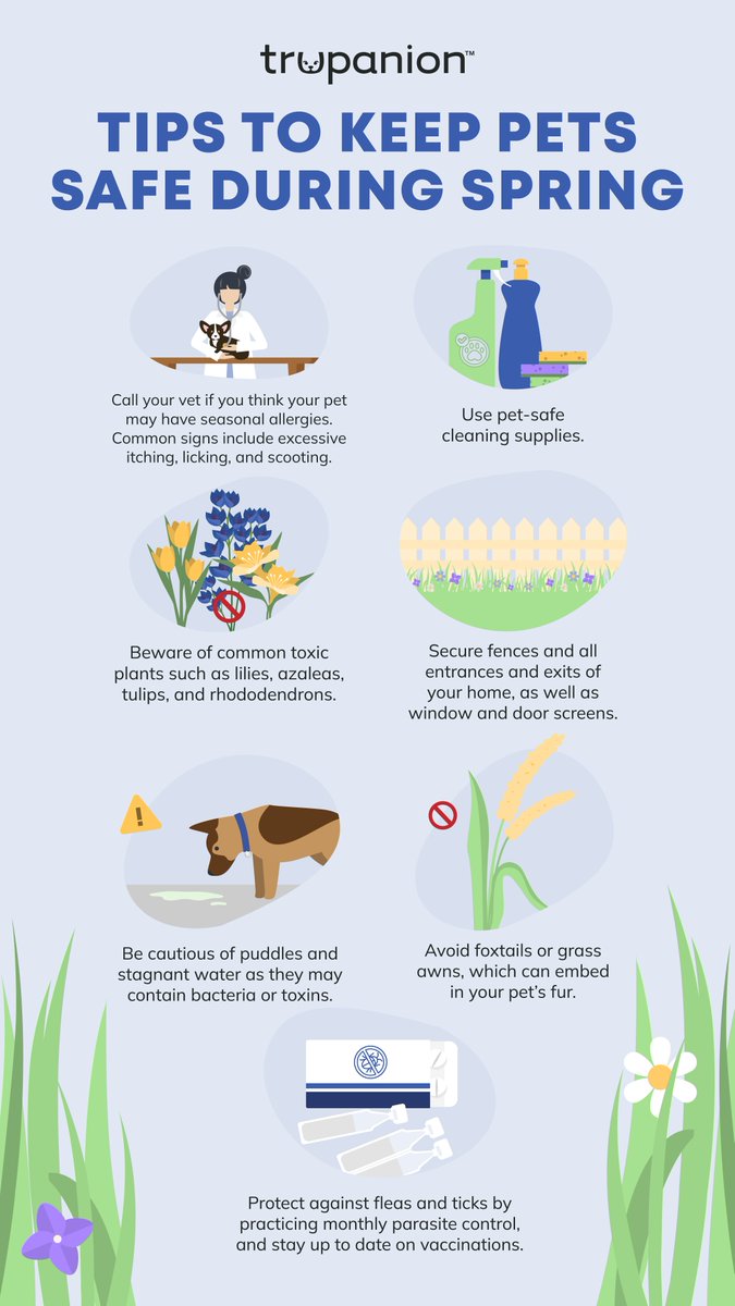 Spring into safety! Here are some tips to keep your pet blooming this season. 💐