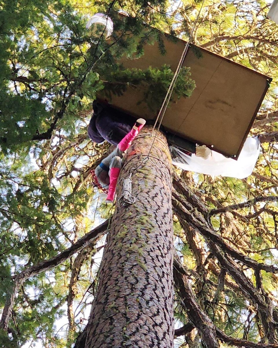 sorisingtide's tweet image. 💖🌲👢We’re here, we’re queer, we’re in the trees! 👢🌲💖