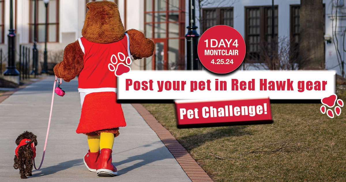 #1Day4Montclair Challenge: We want to see Fluffy or Fido's Red Hawk spirit! The most creative post wins a Montclair State University hoodie! Be sure to include #1Day4Montclair PS, if you haven't made your #1Day4Montclair gift yet, please click here: brnw.ch/21wJb8q