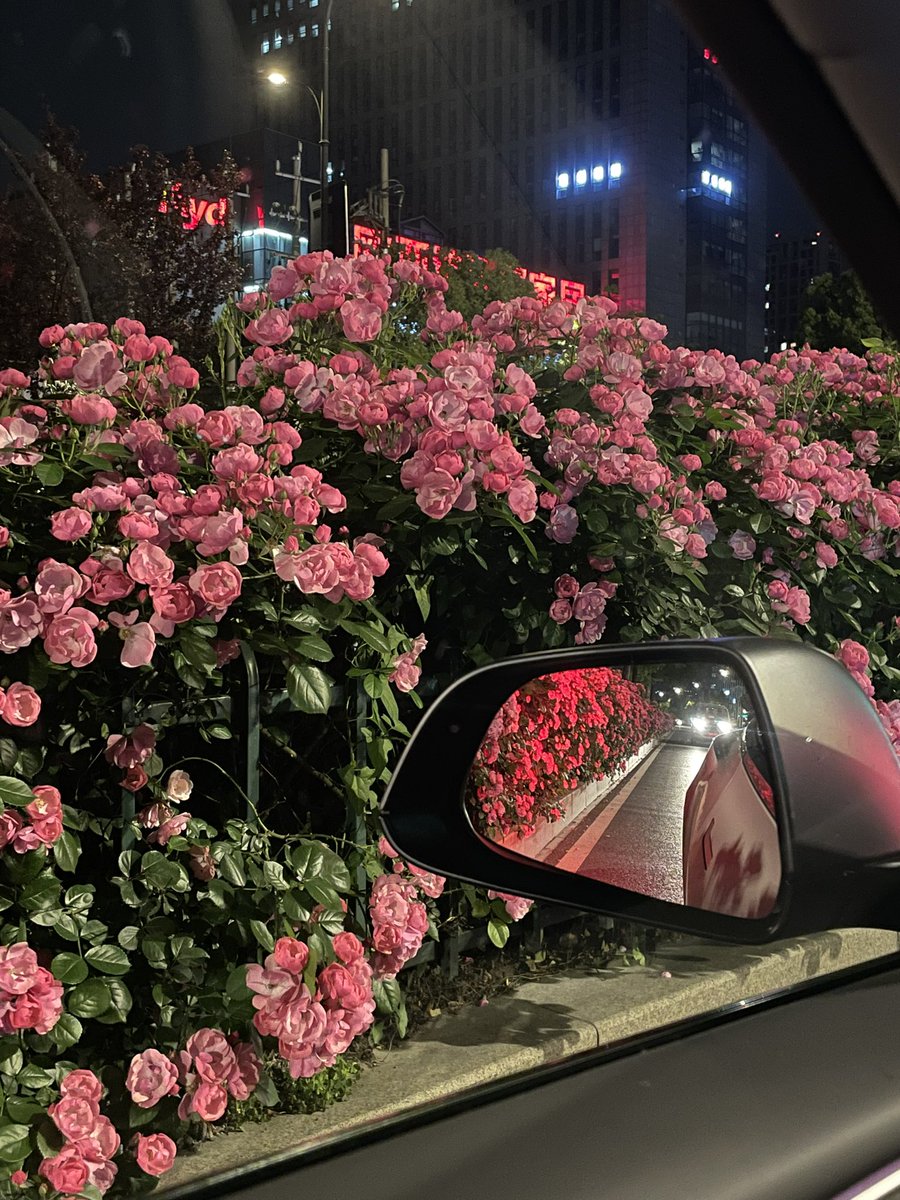 杭城