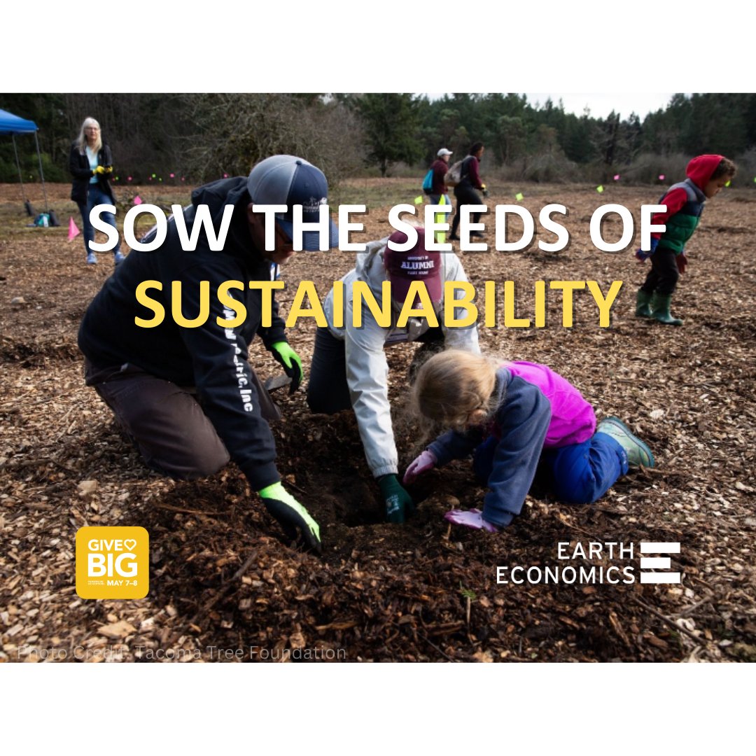 Donate today! With every donation, our partners are not only planting trees; they're cultivating stronger bonds, fostering a sense of belonging, and building community resilience. #GreenSchools

Visit the link to #GiveBIG !

ow.ly/efxj50Rkxyn