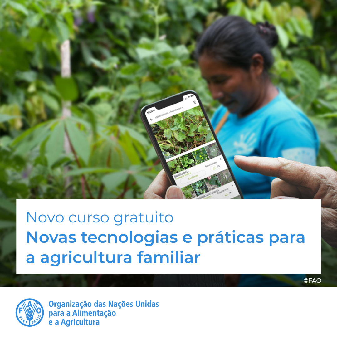 🎓 Curso GRATUITO de @FAOCampus! 🛰️👩‍🌾 Novas tecnologias e práticas para a agricultura familiar Inovação e tecnologias digitais: grandes oportunidades para pequenos produtores. Inscreva-se agora! ➡️ bit.ly/3LKujtf