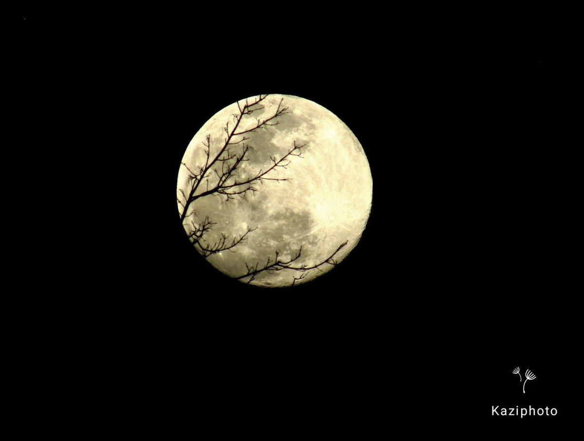 Beautiful View of Moon as seen from Charpala, Gulmi .❤️

Pic. Dinesh Basnet