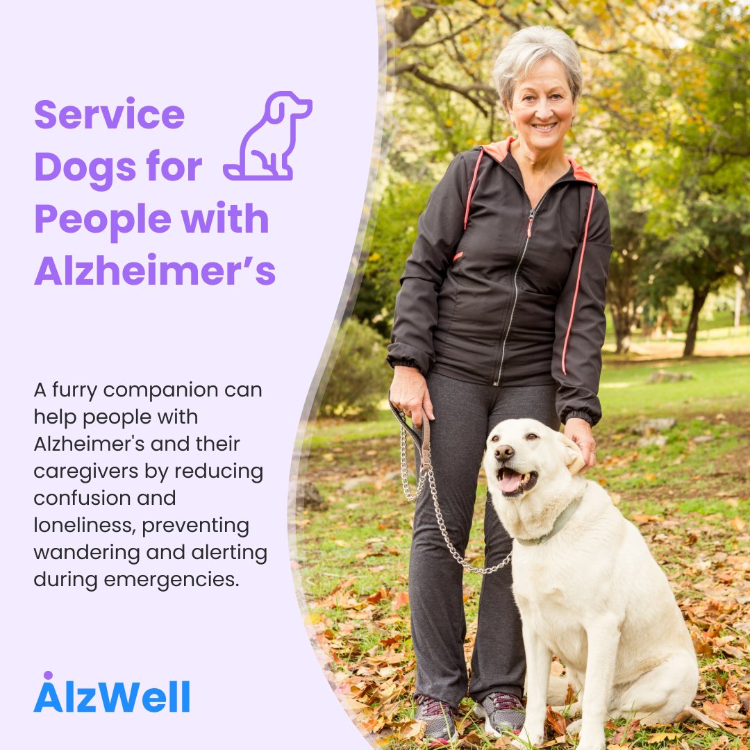 AllzWellApp's tweet photo. A furry companion 🐕‍🦺 can help people with Alzheimer's and their caregivers by reducing confusion and loneliness, preventing wandering and alerting during emergencies.

#AlzWell #Alzheimers #Caregiver #ServiceDog https://t.co/lGvtErivNJ