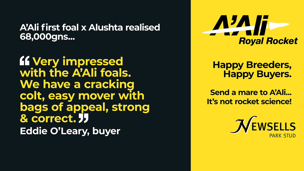 “Move well and have great minds.” Keith Harte “Strong type with lots of presence.” Chris O’Dowd Happy Breeders, Happy Buyers. It’s not rocket science! 🟡🚀⚫️ #A’Ali #RoyalRocket