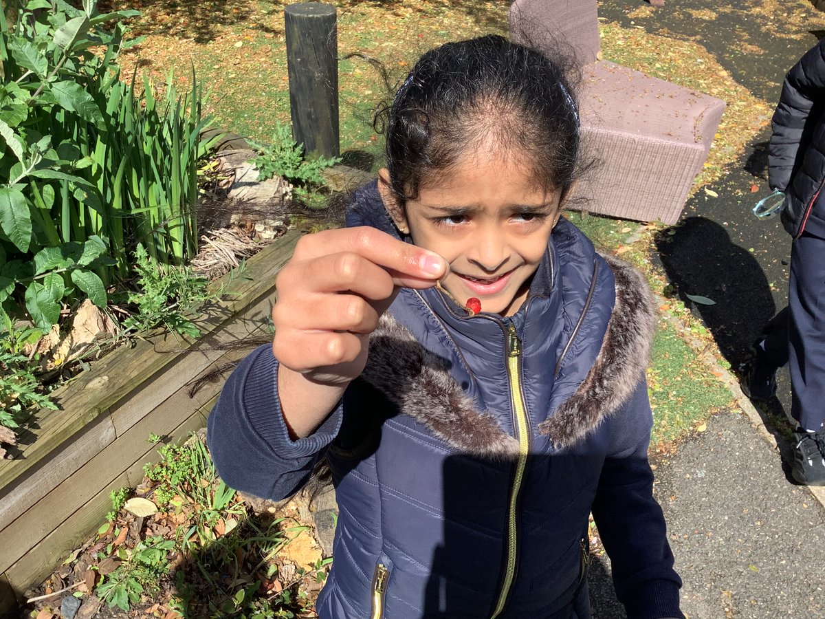 Year1@fircroft.family tweet media