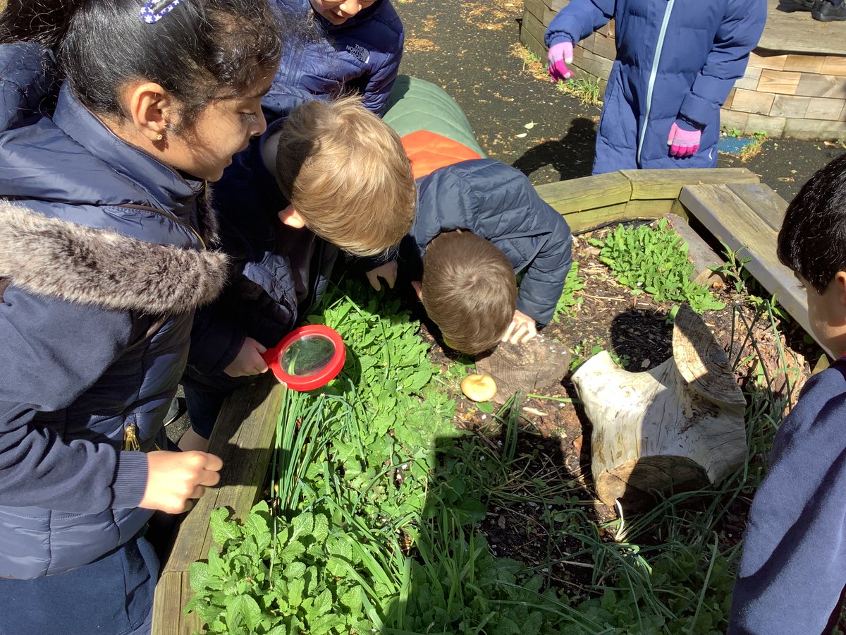 Year1@fircroft.family tweet media