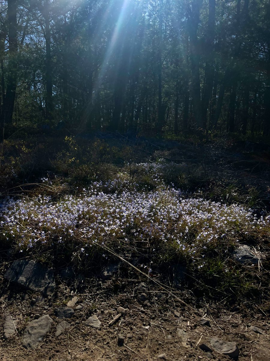 when the light is right in front