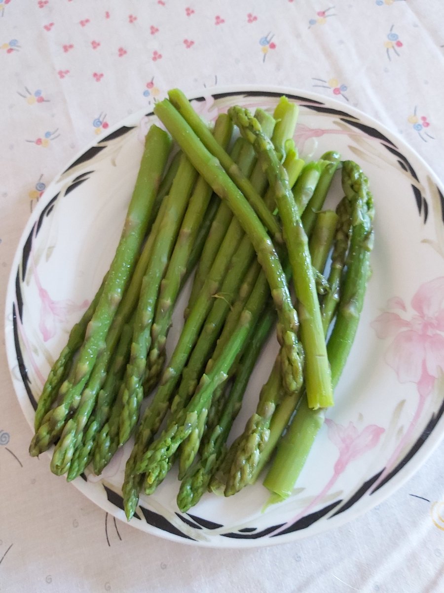 Asperges de Grenade (Spain)