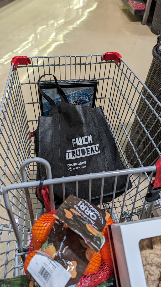 Doing my groceries in style