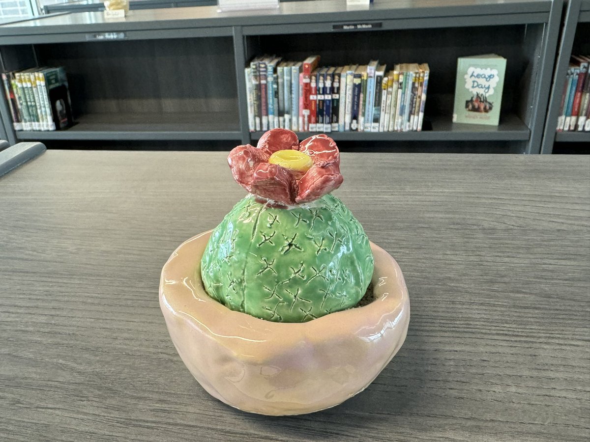 WSMSMediaCenter's tweet photo. I love all the pottery adorning our shelves! Sixth grade Stallions made these succulents in Jessica Clary-Gazzano’s art classes. #StallionLibrarianPoV #Learn230 https://t.co/fJXXxX0v9g