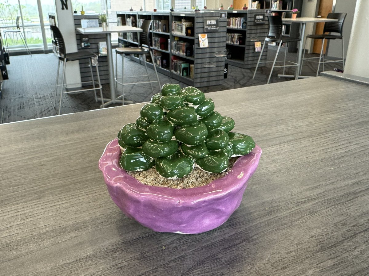 I love all the pottery adorning our shelves! Sixth grade Stallions made these succulents in Jessica Clary-Gazzano’s art classes. #StallionLibrarianPoV #Learn230