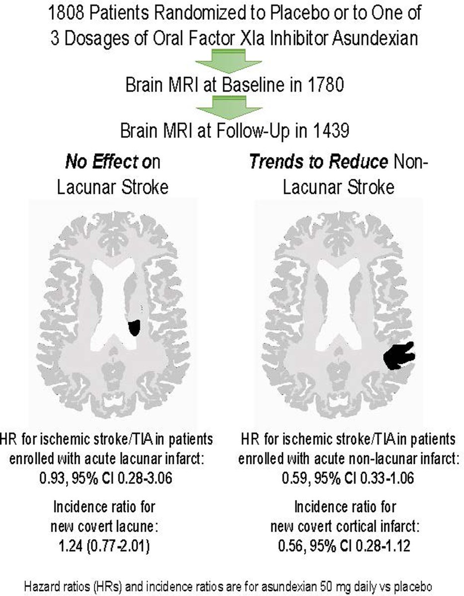 Asundexian and Infarct Patterns on Brain MRI in PACIFIC-Stroke ahajournals.org/do/10.1161/blo… In this #BloggingStroke post, @B_Rioux discusses #Stroke article by @VCI_EricSmith et al. @TerryHirano @gmdemarchis @Antonyneuro @Ash_Shoamanesh @caso_valeria #AHAJournals