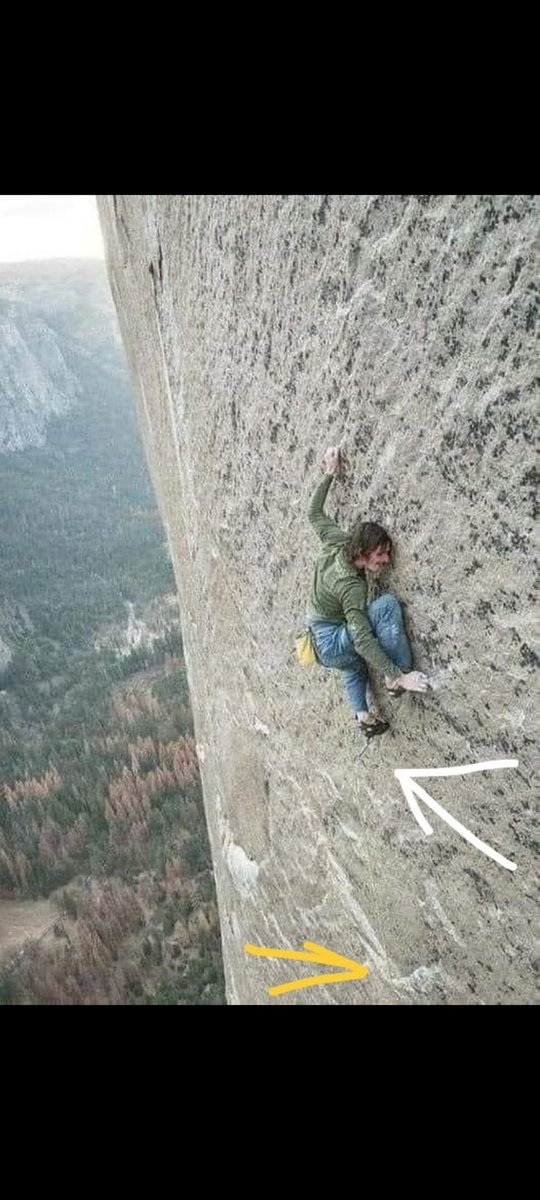 JimmyZoo🇵🇸 tweet media