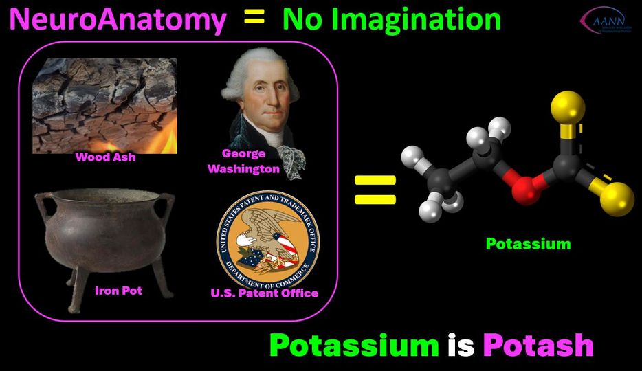 #nerdalert George Washington signed the first US Patent - - producing Potash (Kalium, Potassium) using iron pots to leach the product from wood ash. #neuronurses #neuronerds #historyofmedicine #NursingHistory @ANANursingWorld @TheStrokeAssoc @NeuroNursesAANN