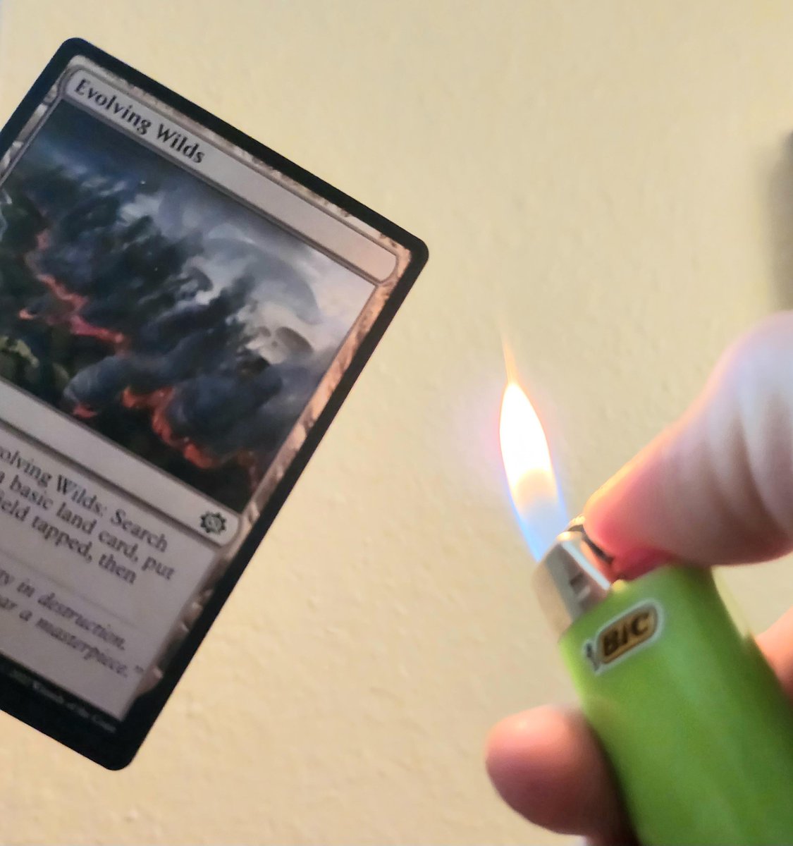 How many Evolving Wilds do you have in your library? Too many I bet.