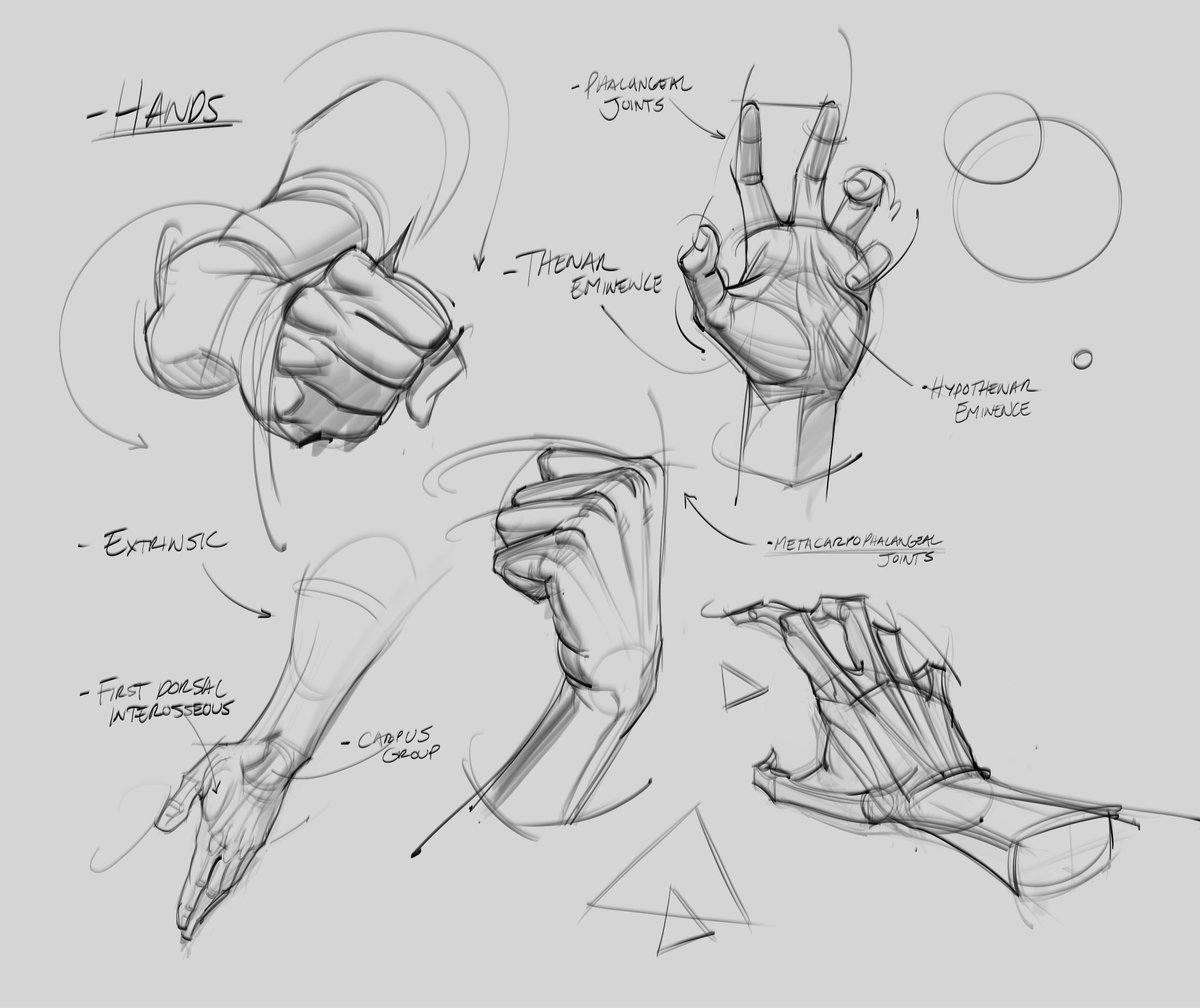 Morning hand gestures and studies! #handgestures #handposes #hands #anatomy #gesturedrawing #lineart #figuredrawing #goals #gottogetbetter #doodles #sketches #knuckles #fists #fingers #palm #drawing #art