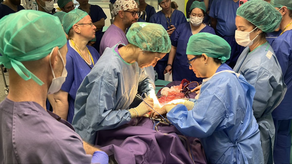 CTF ASACEC tweet media