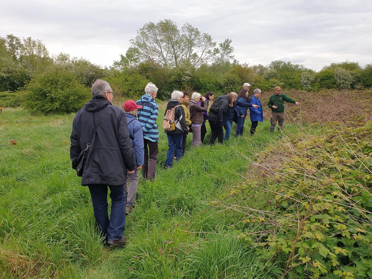Around 15 of us were out on Hounslow Heath with Andy from Lampton this morning - lots of reptiles spotted in one of London's hidden gems. Andy leads a weekly volunteer session on Wednesdays from 10am and is always keen for new recruits. Meet at the Visitor Centre on the Heath