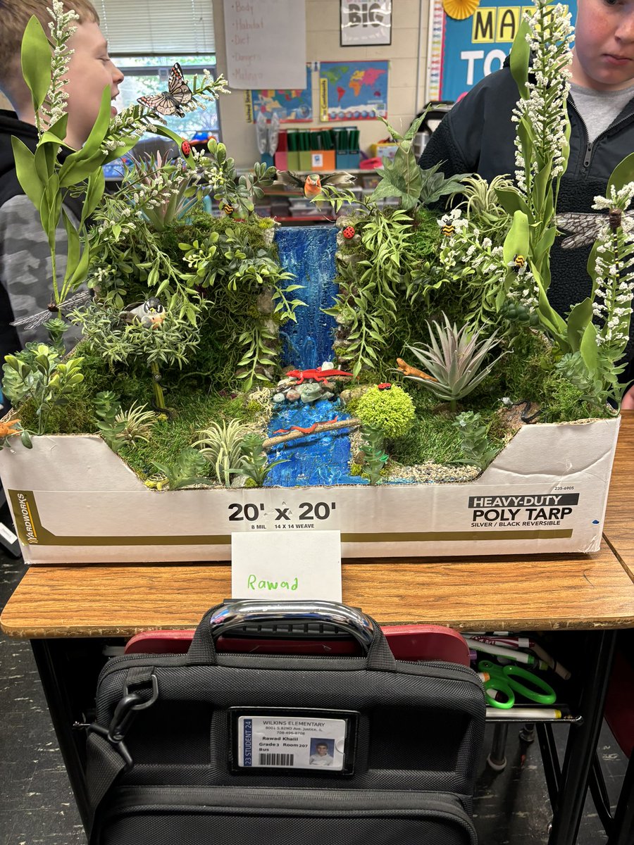 SPEDin2Learning's tweet image. Loved looking at the 3rd grade habitat projects!! @MrsTheres @Moses_204 @ibyrdak010 @WilkinsISD109
