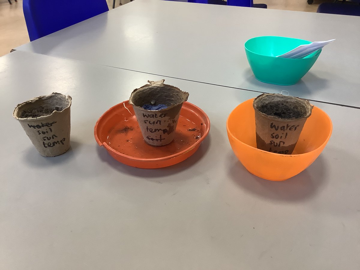 Year 2 are looking at plants in Science. We have started by setting up an experiment to investigate plant growth. We found out that plants need the correct conditions to grow strong. These are water, the correct temperature, sunlight and soil.