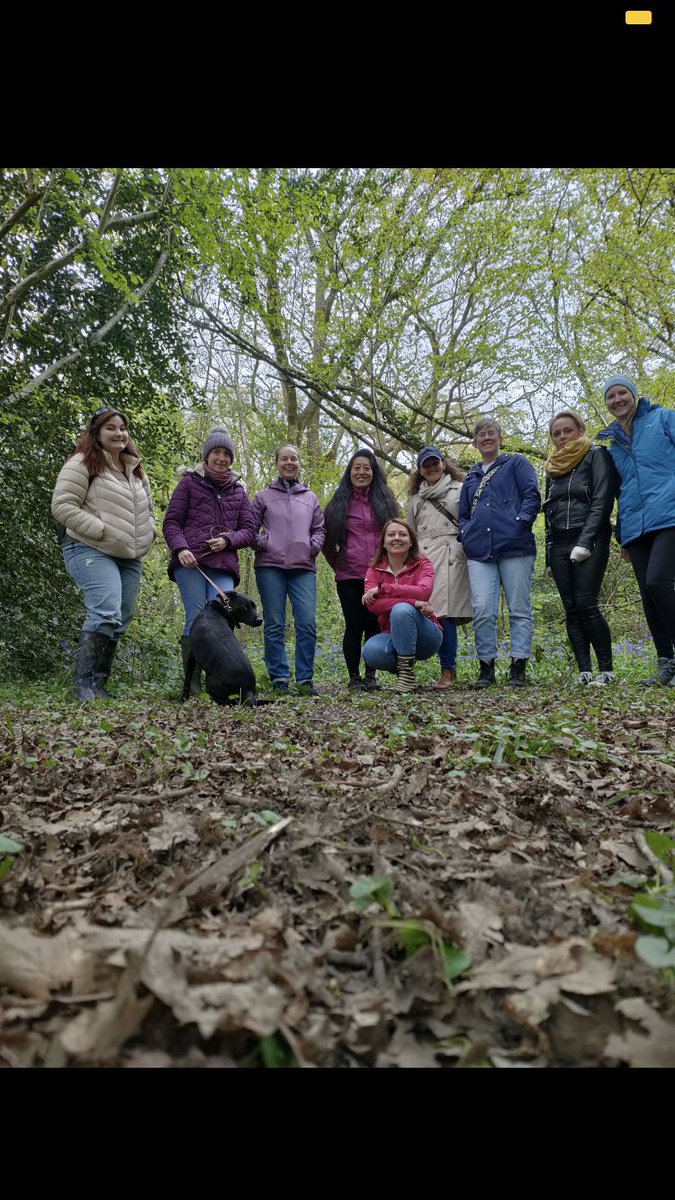 ElizabethChanVA's tweet photo. Netwalking in Worcester Woods Country Park https://t.co/q8M8e3SG9i