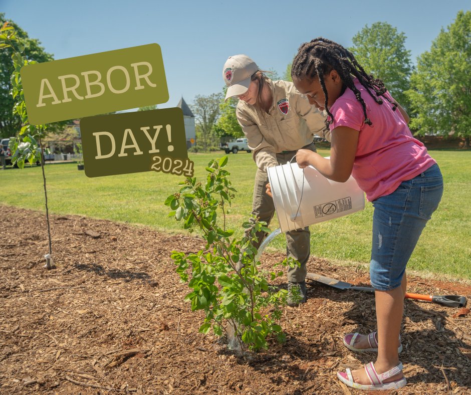 BLOG: bit.ly/445vn1M
Tomorrow is National #ArborDay! Follow the link above for some great ways to celebrate the power of trees (and don't forget to add your individual state's Arbor Day observation to your calendar)!