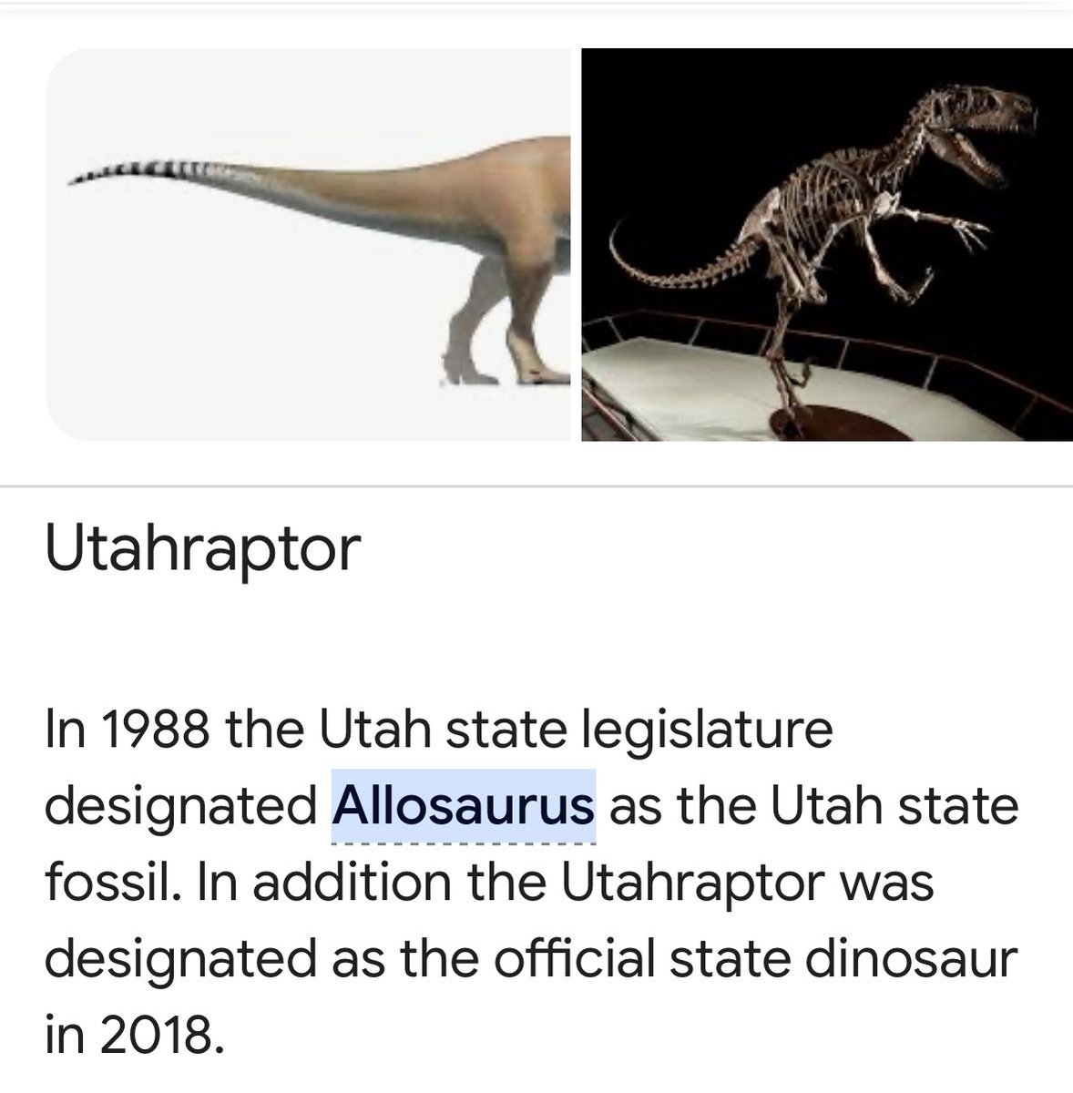 matbarzys's tweet photo. all the potential utah nhl team names suck why can't they be the utah raptors . give me a stupid dinosaur team 🙄🙄 https://t.co/eQTGALaaNS