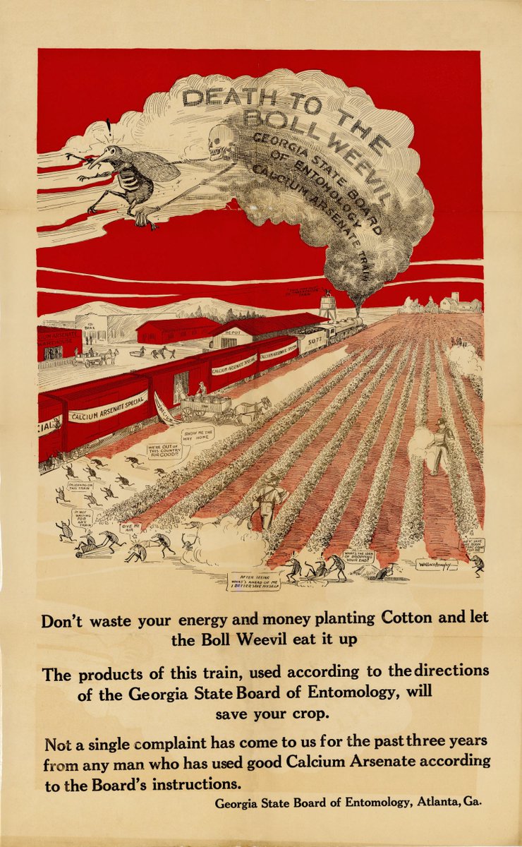 #ThrowbackThursday to 1936: A pivotal moment in Georgia's agricultural history as boll-weevils threatened crops. This vintage poster captures the urgency of the era, advocating for the use of calcium arsenate to save crops. #TBT #Georgia #Agriculture #GDA150