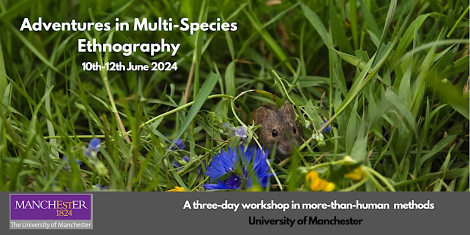 Adventures in Multi-Species Ethnography 10-12 June 2024 Exploring how Manchester’s green spaces and more-than-human residents co-shape our social & political life, led by @maisie_tom @NWSSDTP @PhDSoSS @HumsResearchers eventbrite.co.uk/e/adventures-i…