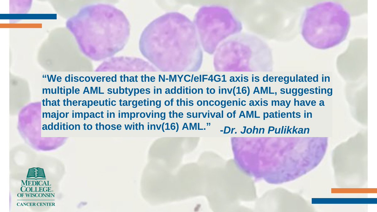 New #research from the @JohnPulikkan Lab unlocks new possibilities for gene-targeted therapies in people with inv(16) acute myeloid #leukemia (AML) and other AML subtypes. These important findings were recently published in @ScienceAdvances. Learn more: cancer.mcw.edu/stories/new-re…
