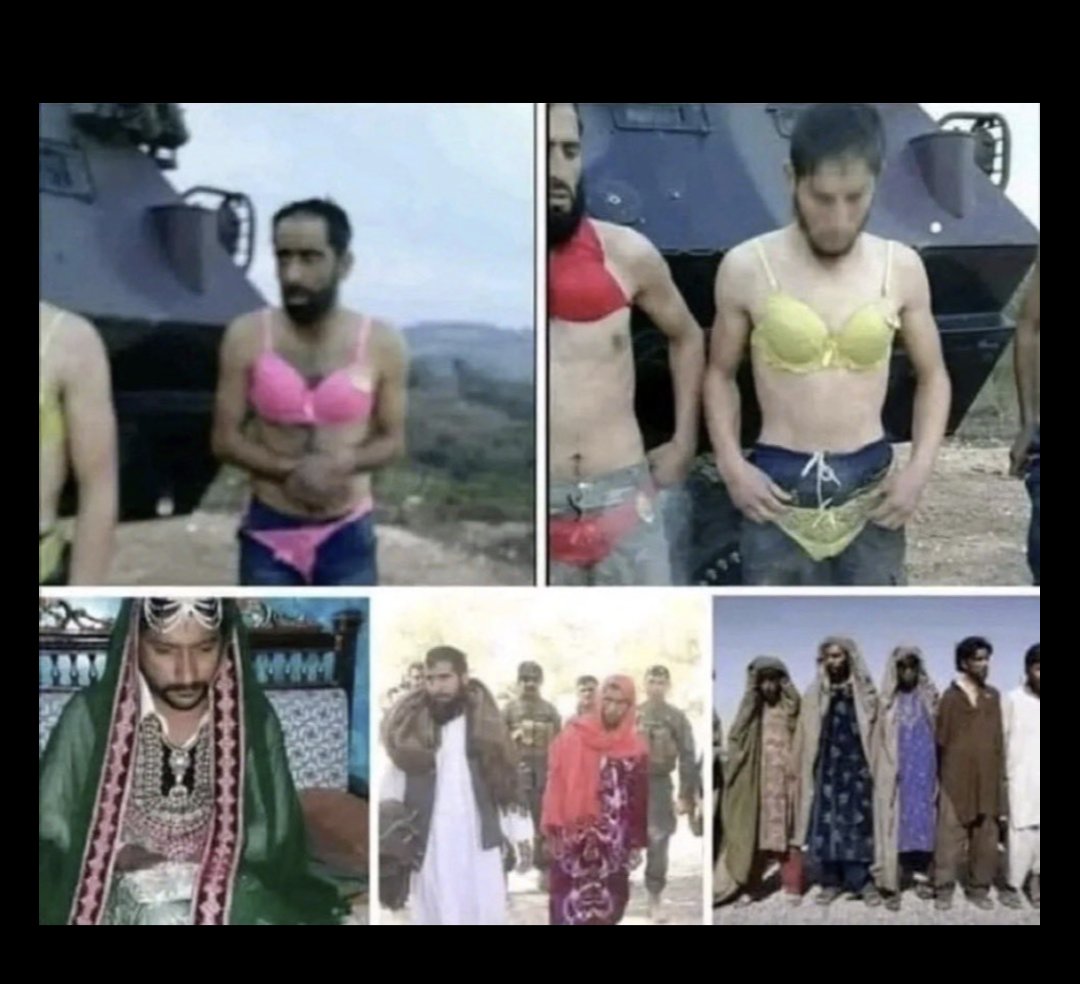 Sam86314818's tweet photo. @Najeemyalman Then why you didn't ask your father Punjab ISI for help  when these Punjabi were in hotel in Kabul landghar som of Punjab ISI and MI6 😂😂😂😂😂😂😂😂😂😂 https://t.co/FRRFsEECHM