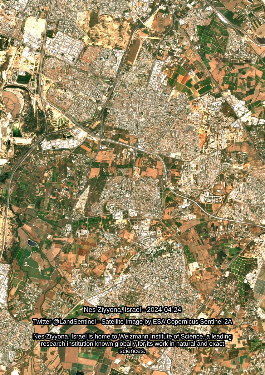 Nes Ziyyona - Israel - 2024-04-24 Nes Ziyyona, Israel is home to Weizmann Institute of Science, a leading research institution known globally for its work in natural and exact sciences. #SatelliteImagery #Copernicus #Sentinel2