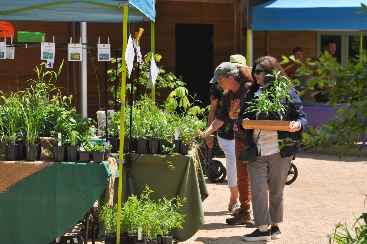 Planning to join us for our Spring Native Plant Sale on Saturday, May 4? The first timed entry window of the day is full, but there are still spots available in the 10:30 a.m.-12 p.m. and 12-1:30 p.m. time slots. Register soon to reserve your spot: ncbg.unc.edu/event/spring-n…