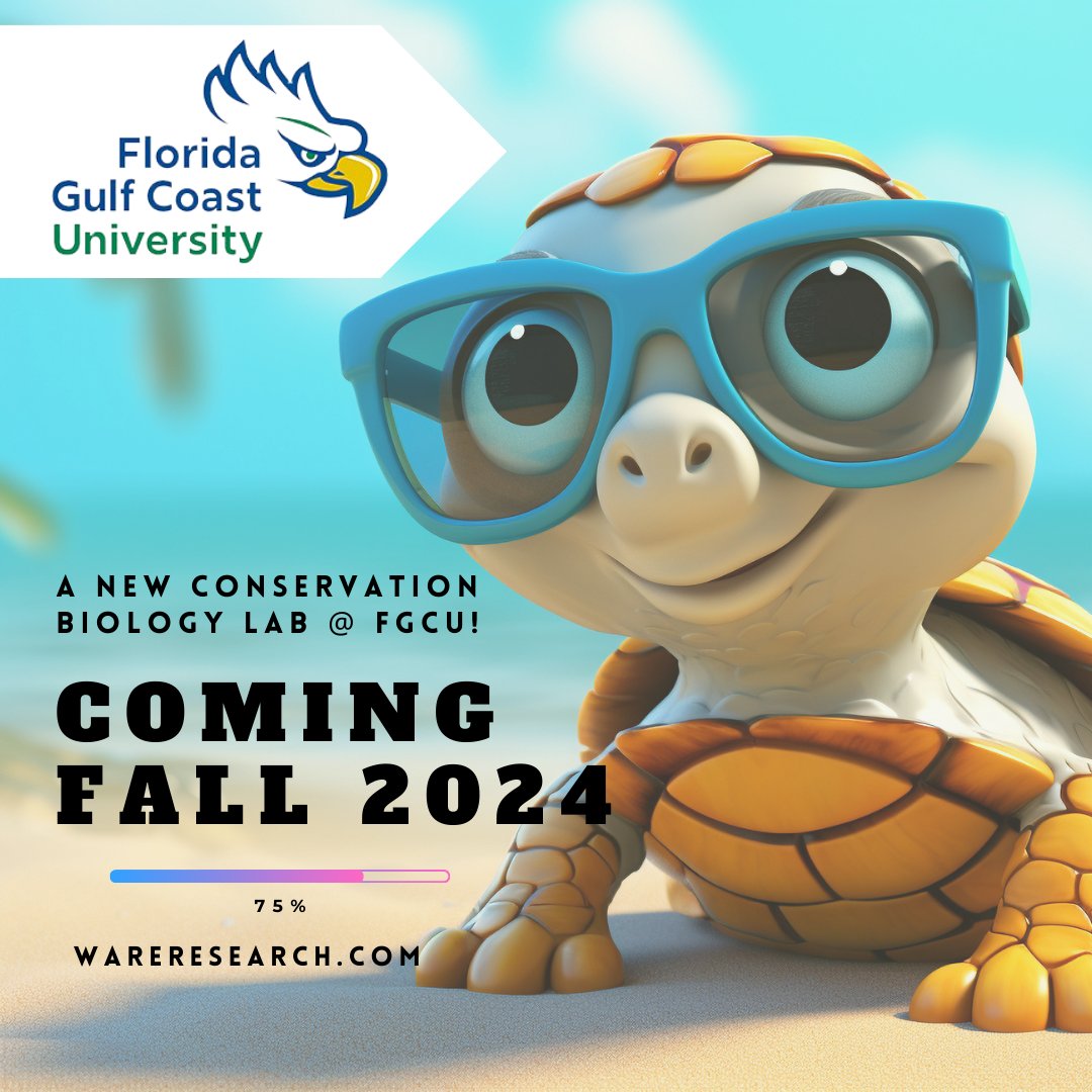 Dr. Matt Ware (@mattware_phd) on Twitter photo Big news! A new lab is coming to <a href="/fgcu/">Florida Gulf Coast University</a>! Starting Aug '24, I'll be an Assistant Professor of Conservation Biology in the Dept of Biological Sciences. If you are a current FGCU undergrad or a prospective MSc student interested in coastal conservation, reach out! #seaturtlenerds Big news! A new lab is coming to <a href="/fgcu/">Florida Gulf Coast University</a>! Starting Aug '24, I'll be an Assistant Professor of Conservation Biology in the Dept of Biological Sciences. If you are a current FGCU undergrad or a prospective MSc student interested in coastal conservation, reach out! #seaturtlenerds