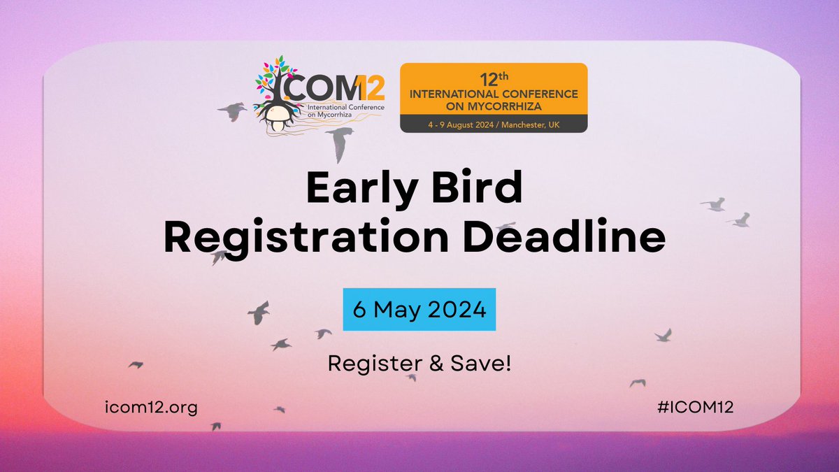 🐦The early bird registration deadline for #ICOM12 is right around the corner! 🐦 Make sure to register by May 6th to enjoy favourable rates as you join your colleagues in mycorrhizal community in Manchester. Register today! icom12.org/registration/ @mycorrhiza_ims