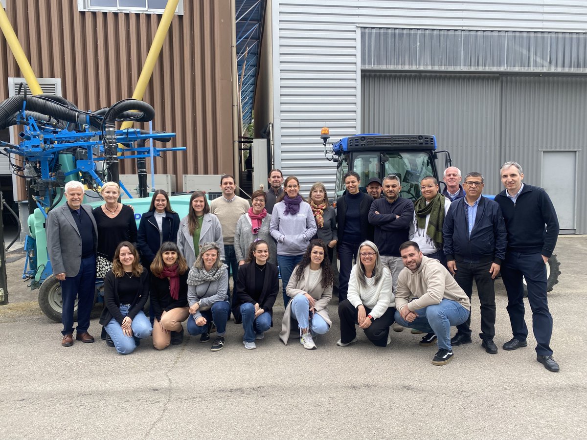 MAGO Prima Project tweet media